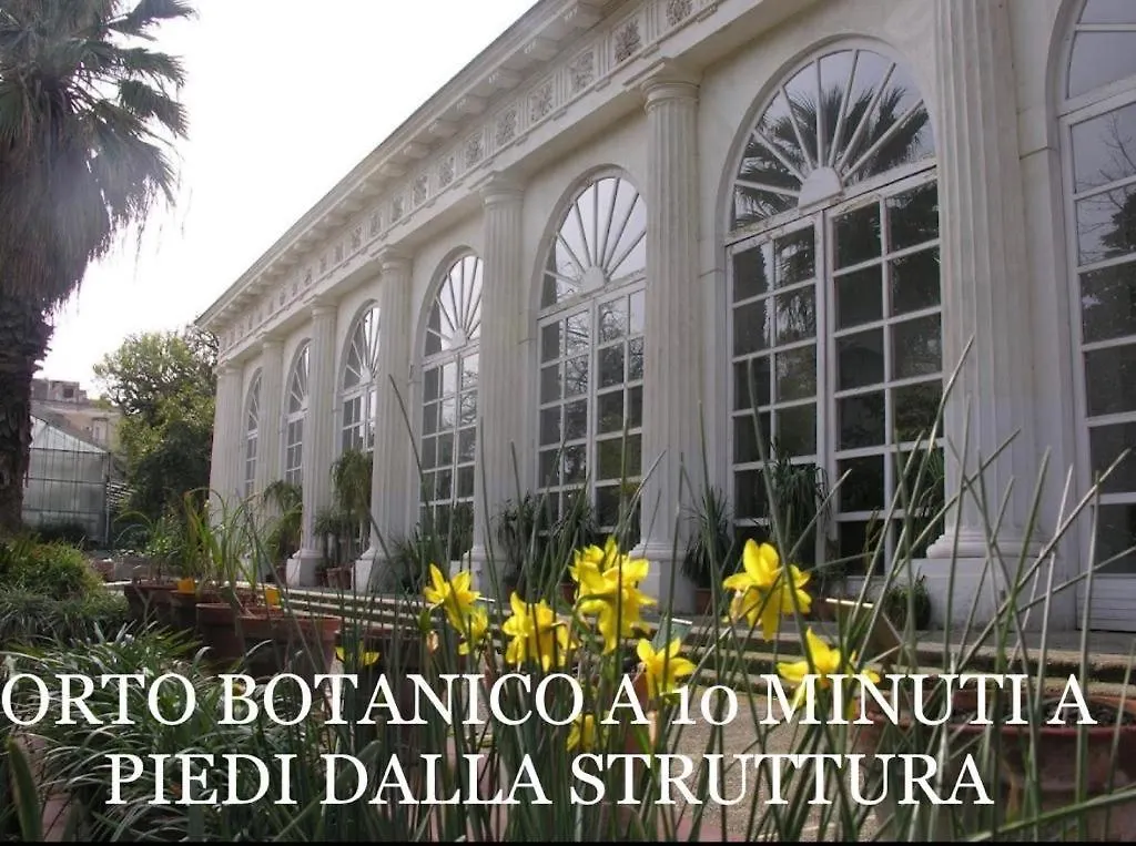 Dg Sweet Home Naples